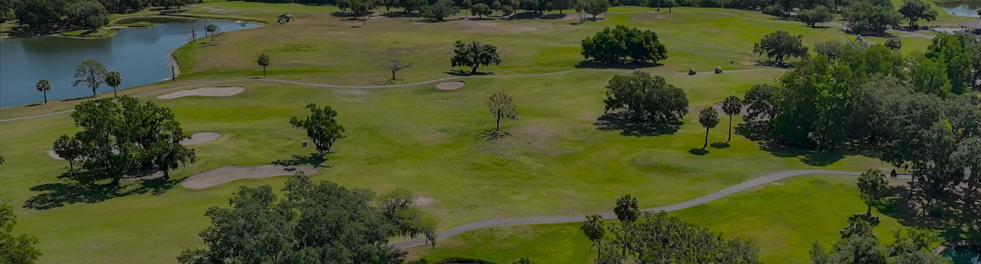 A view of some trees and grass on the golf course.