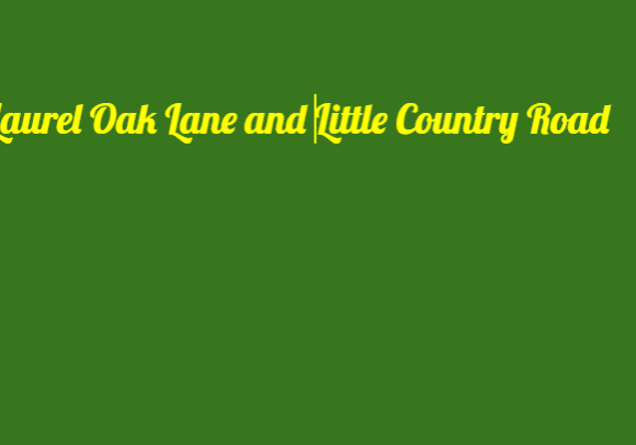 Laurel Oak Lane and Little Country Road sign.