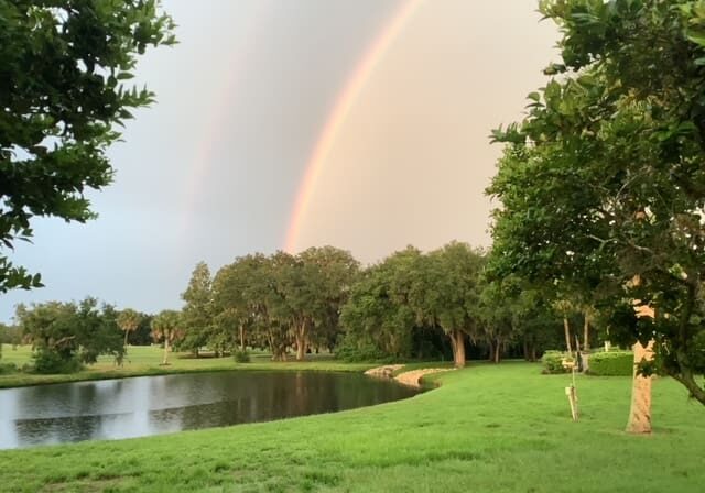 A rainbow over the water and trees in the background.