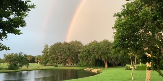 A rainbow over the water and trees in the background.