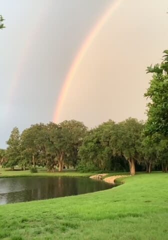 A rainbow over the water and trees in the background.